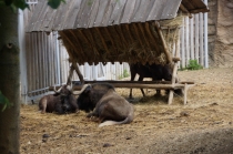 Výlet